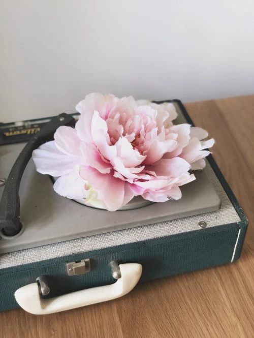 vecchio giradischi con un grande fiore sopra